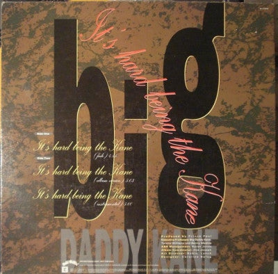 Big Daddy Kane : It's Hard Being The Kane (12", Promo)