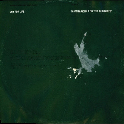 Joy For Life : Watcha Gonna Do (The Dub Mixes) (12")