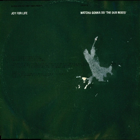 Joy For Life : Watcha Gonna Do (The Dub Mixes) (12")
