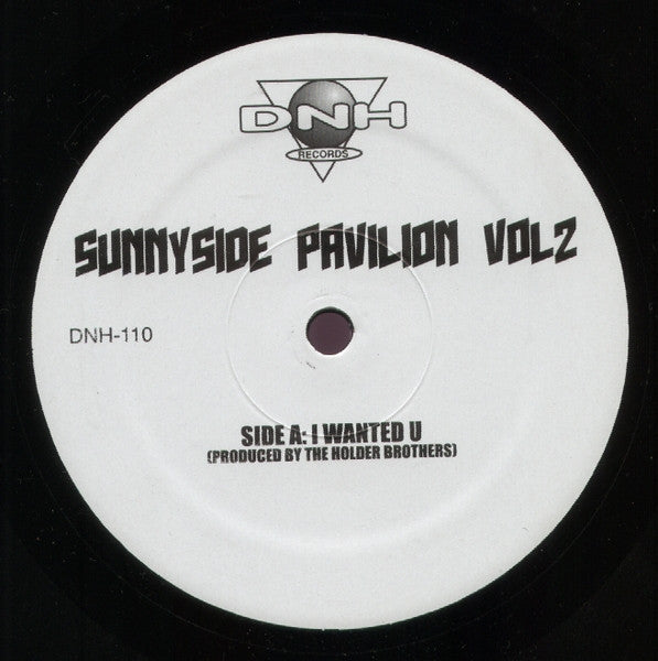 The Holder Brothers / Nick Holder : Sunnyside Pavilion Vol 2 (12")