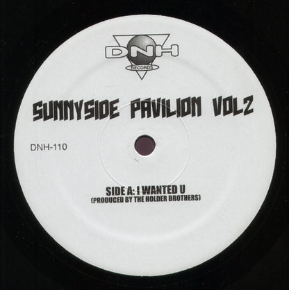 The Holder Brothers / Nick Holder : Sunnyside Pavilion Vol 2 (12")