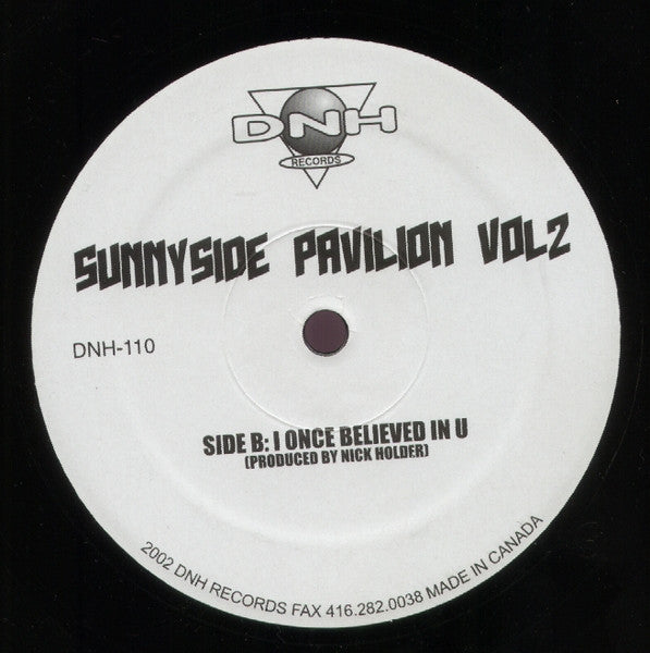 The Holder Brothers / Nick Holder : Sunnyside Pavilion Vol 2 (12")