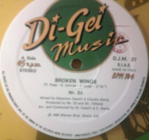Mr. DJ* : Broken Wings (12")
