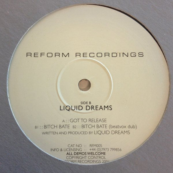 Liquid Dreams : Got To Release (12")