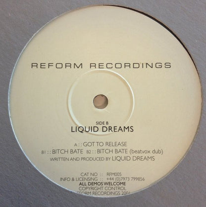 Liquid Dreams : Got To Release (12")