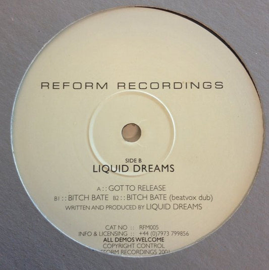Liquid Dreams : Got To Release (12")