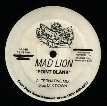Mad Lion : Point Blank (12", Promo)