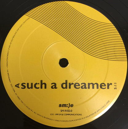 Laidback Luke : Such A Dreamer / En Route (12")