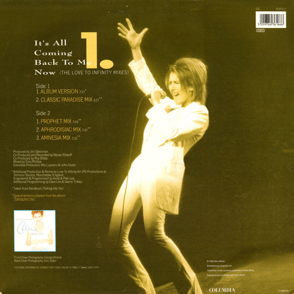 Céline Dion : It's All Coming Back To Me Now (The Love To Infinity Mixes) (12", Maxi)
