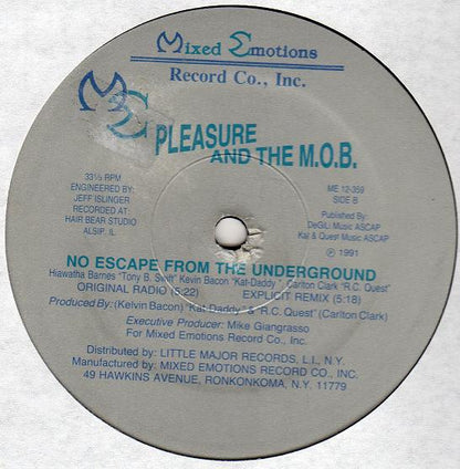 Pleasure And The M.O.B. : It's About That Time  (12")
