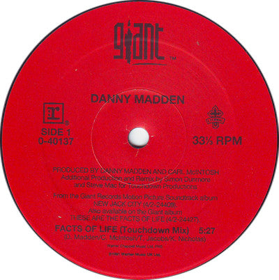 Danny Madden : The Facts Of Life (12", Maxi)