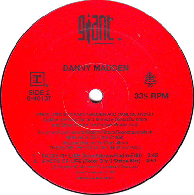 Danny Madden : The Facts Of Life (12", Maxi)