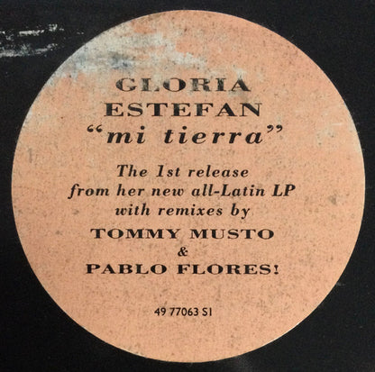 Gloria Estefan : Mi Tierra (12", Single)