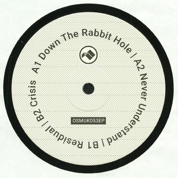 Overlook (2) : Never Understand EP (12", EP)