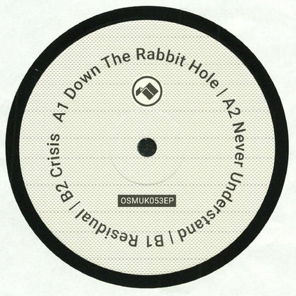 Overlook (2) : Never Understand EP (12", EP)